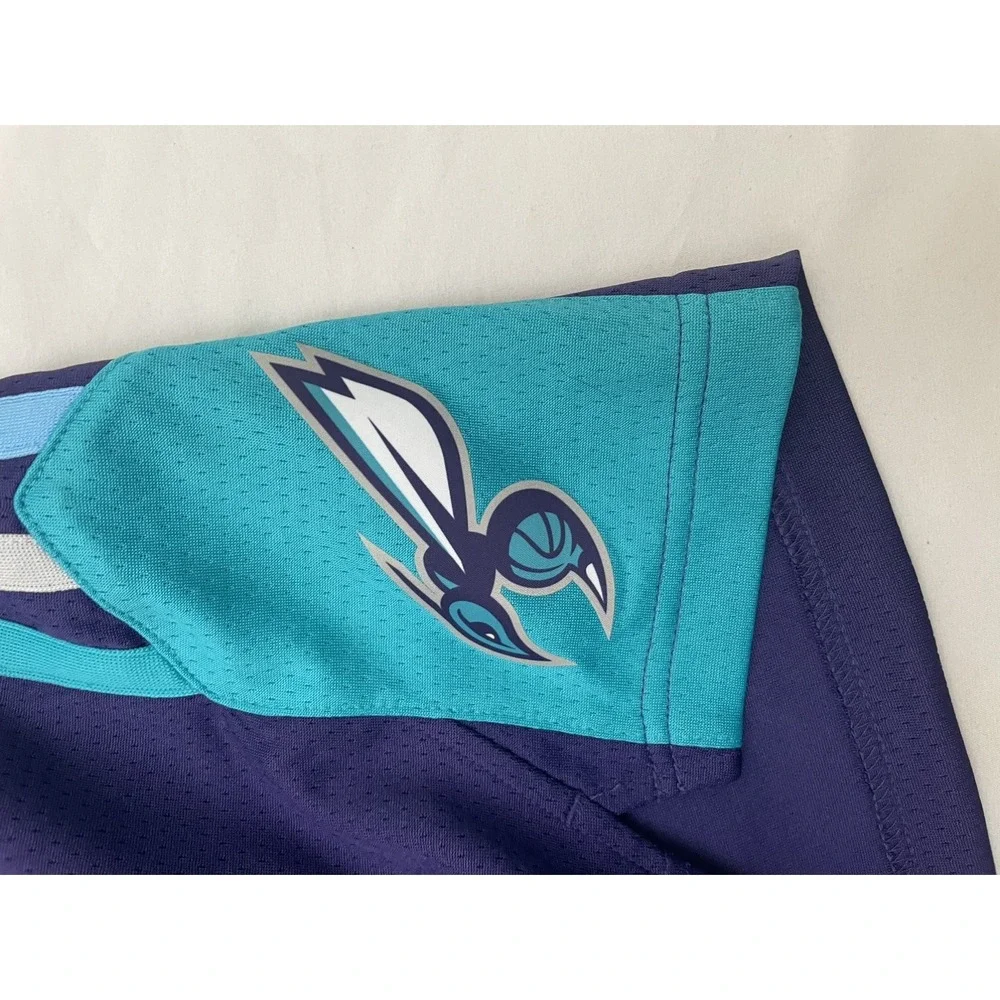 Charlotte Hornets Icon Edition YOUTH Nike NBA Swingman Shorts XL Purple‎